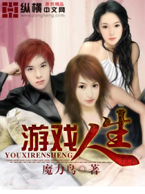 游戏人生章节列表