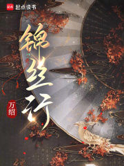 锦丝行章节列表