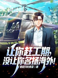 让你赶工期，没让你名扬海外！章节列表