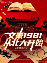 文豪1981：从北大开始章节列表