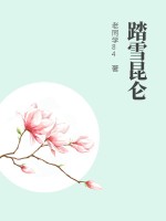 踏雪昆仑章节列表