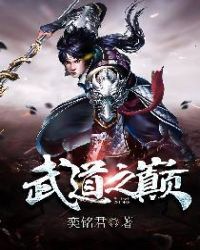 武道之巅章节列表