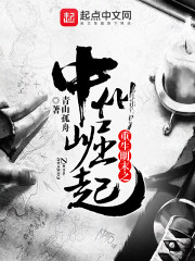 林凡神级狂婿章节列表