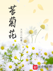 苦菊花章节列表