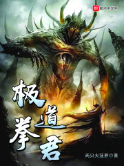 极道拳君章节列表