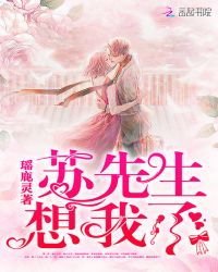 苏先生想我了章节列表
