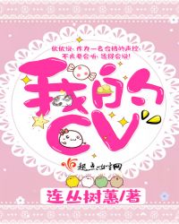 我的CV章节列表