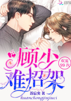 别怼我，顾先生！章节列表