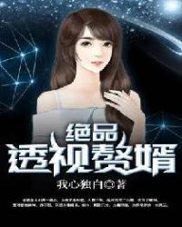 绝品透视赘婿章节列表