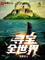 寻宝全世界章节列表