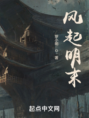 风起明末章节列表