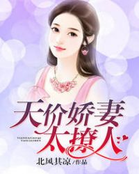 天价娇妻太撩人章节列表