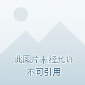 鹤语剪影