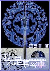 我不是慕容冲章节列表