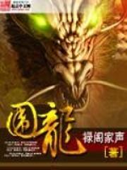 围龙章节列表