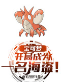 宝可梦：开局成为一名海盗