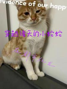 穿越诸天的小蛇蛇在都市化龙章节列表