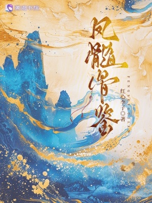 凤髓骨鉴章节列表