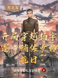 开局穿越杨宇霆，辅佐少帅抗日章节列表