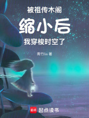 被祖传木阁缩小后，我穿梭时空了章节列表