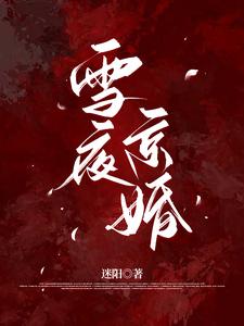 雪夜京婚章节列表