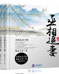 丞相追妻手册章节列表