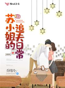 苏小姐的追夫日常章节列表