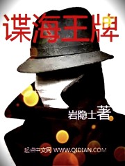 谍海王牌 作者：岩隐士