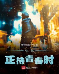 你我，正待青春时章节列表