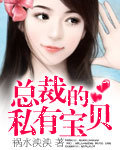 总裁的私有宝贝章节列表