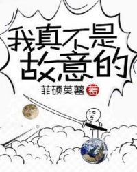 我真不是故意的章节列表