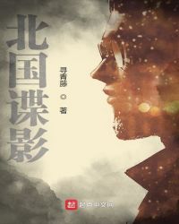 北国谍影章节列表