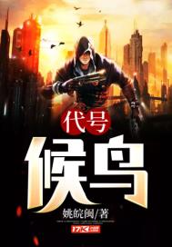 代号候鸟章节列表