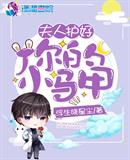 夫人护好你的小马甲章节列表