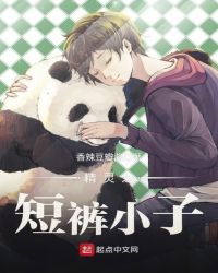 精灵之短裤小子章节列表