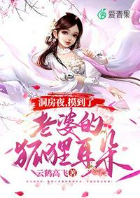 洞房夜摸到了老婆的狐狸耳朵章节列表